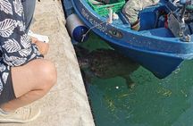 Kefalonia Nature & Beach Tour – Turtles, Caves & Hidden Gems