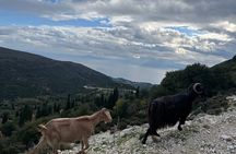 Kefalonia Premium 4×4 Sunset Experience