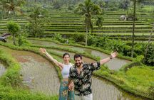 Private Bali Scenic Tour Temples Terraces and Waterfall Wonders