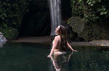 Private Bali Scenic Tour Temples Terraces and Waterfall Wonders