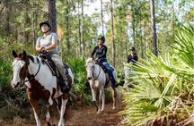 Long Goethe Forest Horseback Trail Ride