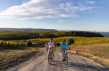 Private Biking Wine Tour (full day) in the Marlborough Region