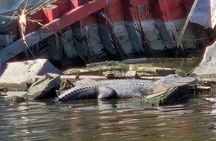 Bayou Cocktail Cruise with Cajun Seafood Boil Upgrade