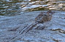 Bayou Cocktail Cruise with Cajun Seafood Boil Upgrade