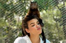 Wildlife Learning Adventure and Snorkeling in Akumal