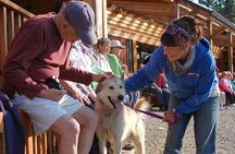 Husky Homestead Tour