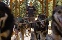Husky Homestead Tour