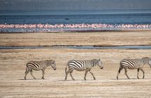 Half Day Tour To Lake Nakuru National Park From Nakuru