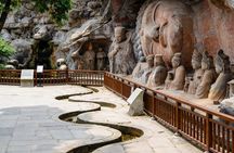 Dazu Rock Carvings Private Full Day Tour from Chongqing 