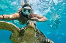 Snorkeling Blue Lagoon and Tanjung Jepun All Inclusive