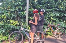 Ubud Countryside Cycling Tour with Village Lunch