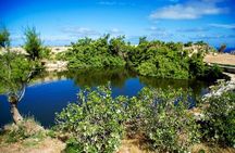 Malta Full Day Self Drive Buggy Tour with Lunch and Swim Stop