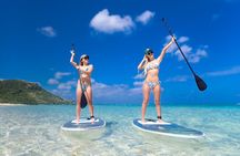 Miyakojima 《Chartered》》With drone photography｜Clear SUP & Sea Turtle Snorkel Tour｜No additional charge｜Full refund guarantee｜Free rental and photography