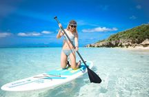 Miyakojima Standard Plan [SUP & Sea Turtle Snorkel] No extra charge｜Full refund guarantee｜Free rental and photos｜1 year old ~ OK｜Empty handed