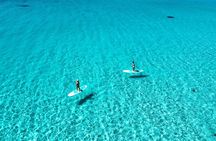Miyakojima Standard Plan [SUP & Sea Turtle Snorkel] No extra charge｜Full refund guarantee｜Free rental and photos｜1 year old ~ OK｜Empty handed