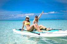 Miyakojima Standard Plan [SUP & Sea Turtle Snorkel] No extra charge｜Full refund guarantee｜Free rental and photos｜1 year old ~ OK｜Empty handed