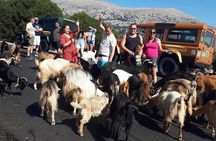 Sarakinas Gorge South Crete Hiking and Swimming Jeep Safari