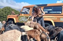 Sarakinas Gorge South Crete Hiking and Swimming Jeep Safari