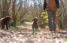 truffle hunting