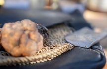 truffle hunting