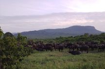 5 Days Budget safari from Mombasa and Diani 