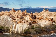 Beagle Channel and Penguin Island Navigation