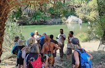Kourtaliotiko Gorge Waterfalls and Swimming at Preveli Beach
