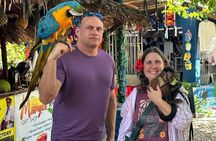 Shore Excursion: Buggy Adventure — Countryside & Local Tasting