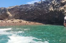 Paracas full day from Lima (private service)