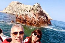 From Lima Private transfer to Paracas