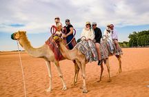 Desert Safari 4x4 Dunes, Camel Riding, BBQ & Live Shows 