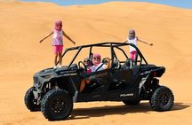 Desert Safari 4x4 Dunes, Camel Riding, BBQ & Live Shows 