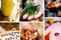 Zanzibar Spice Farm Private Tour with Pick Up