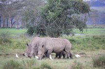 5Days Magical Wildlife Adventure