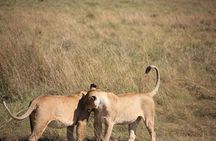 5Days Magical Wildlife Adventure