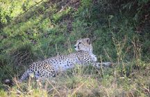 5Days Magical Wildlife Adventure