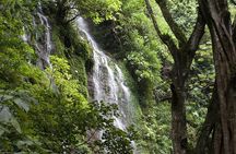 Best Juayua 7 Waterfalls Hiking Tour + 4x4 Ride | Ruta de Flores