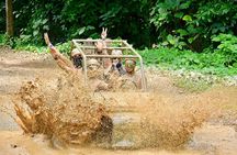 Magical Day All Included Horses,Zip Line,Buggies,Chairlift,Safari