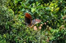 Amazon Wildlife Tours Lodge Stay 3days 2nights 