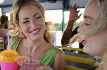 Bayou Cocktail Cruise with Cajun Seafood Boil Upgrade