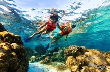 Snorkeling in Puerto Morelos