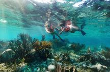 Snorkeling in Puerto Morelos