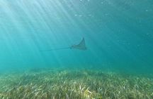 Snorkeling in Puerto Morelos