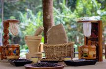 Rio Celeste: Hike, Coffee & Sloths Lovers 