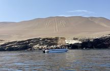 Paracas Tour: Ballestas Islands and Sunset Hike