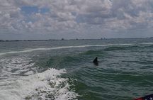 Private Day Cruise: Explore Cape Coral, Sanibel and Fort Myers