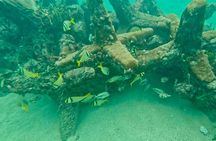 Fort Lauderdale: Ocean Reef Snorkeling Tour w/ Snacks & Drinks