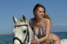 Horse Ride 3Hour, Desert, Swimming & Transfers in Hurghada