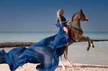 Horse Ride 3Hour, Desert, Swimming & Transfers in Hurghada