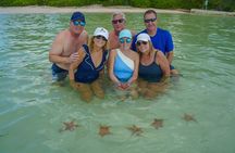 Half-Day Adventure Stingray City, Snorkeling, Starfish Point 